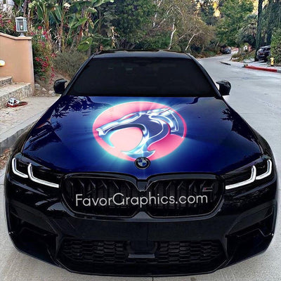 ThunderCats Vinyl Car Wraps on Autos, Trucks, and SUVs