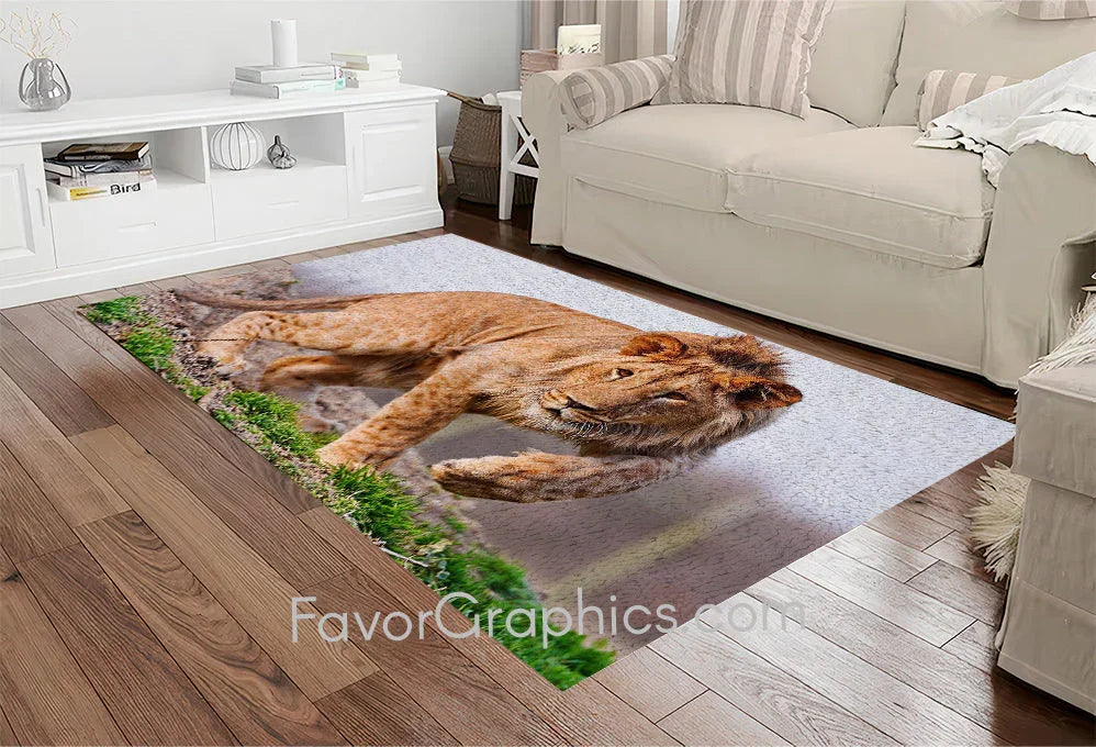 test Home Bedroom Decor Rug Carpet Mat (Copy)