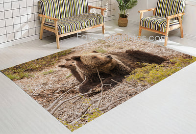 Bear Home Bedroom Decor Rug Carpet Mat