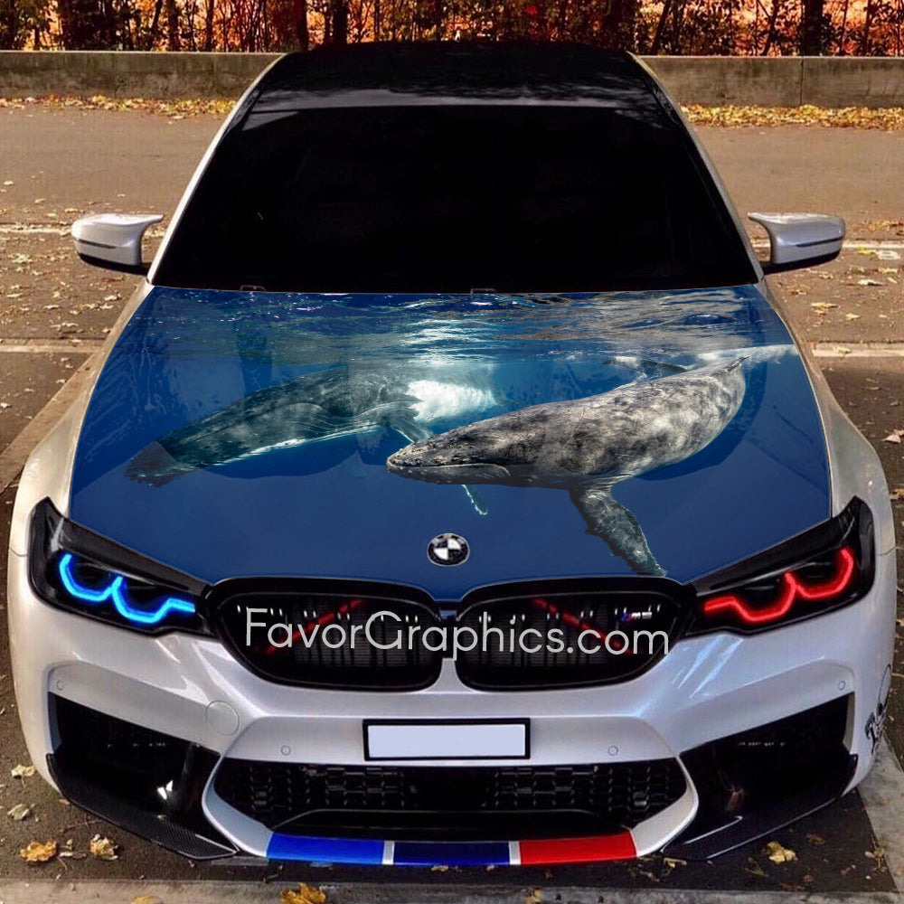 Whale Itasha Car Vinyl Hood Wrap Decal Sticker